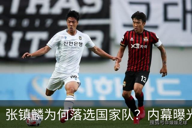 张镇麟为何落选国家队？内幕曝光，叫人心疼，郭士强并没放弃他